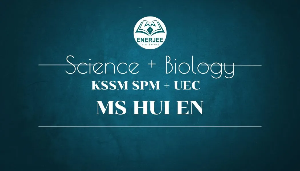 Hui En cover web